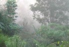 Congolandscaping-irrigation-4.jpg; ?>